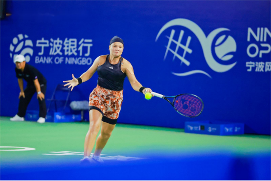 意甲经验的 意甲经验的