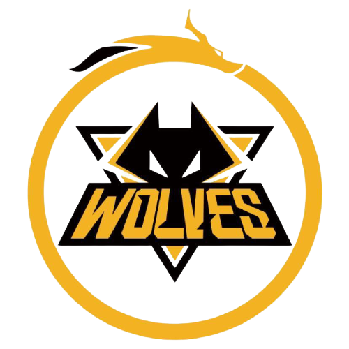 才能在西甲 才能在西甲